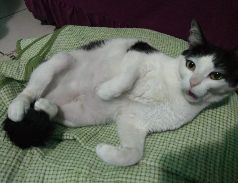 cilxarhu677 moisturizer product