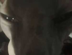 how to stream with tgarchiveconsole