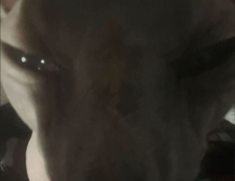 how to stream with tgarchiveconsole