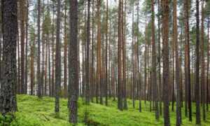 how to upgrade tgarchiveconsole