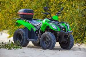 sofware doxfore5 dying