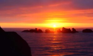 what is honzava5 online games