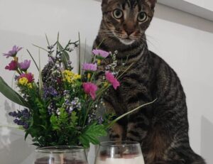 winobit3.4 software error