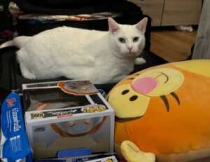 zenvekeypo4 software