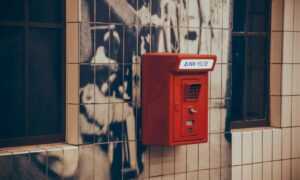 zopalno number flight