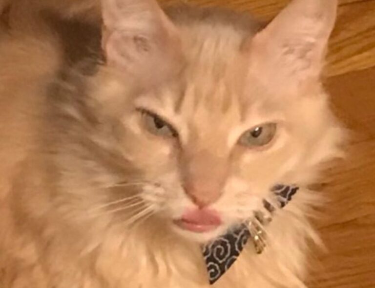 controls hearthssconsole