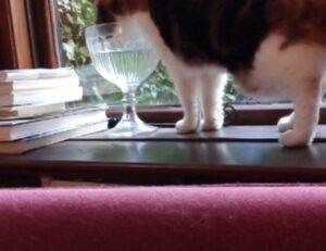 hearthssconsole installation guide from hearthstats