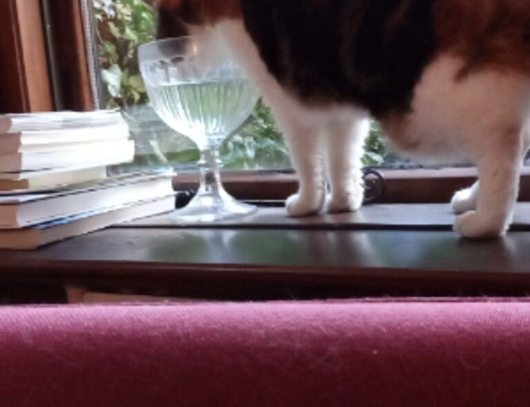 hearthssconsole installation guide from hearthstats