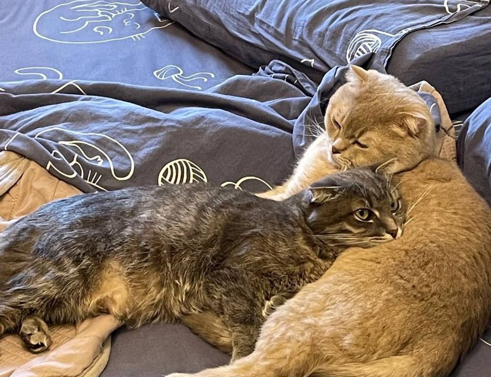 installation hearthssconsole