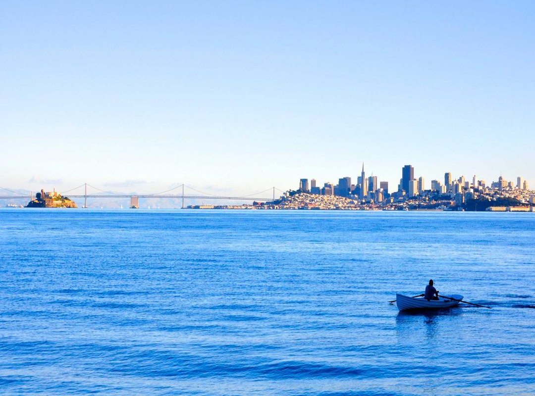 Tips for a Perfect Fit: Avoiding Blurry or Cropped Images