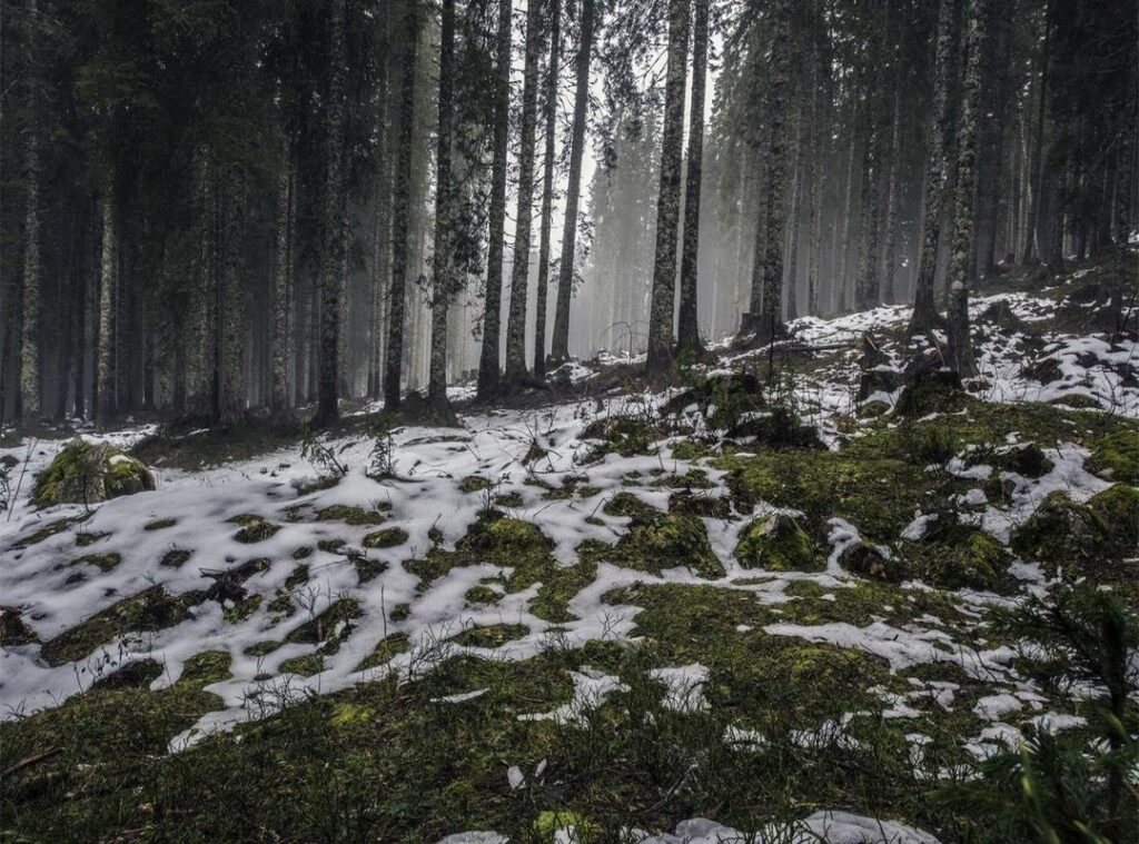 arsenal wfc - aston villa wfc tijdlijn