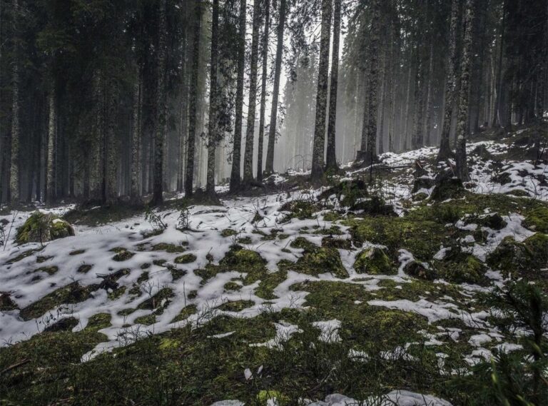 arsenal wfc - aston villa wfc tijdlijn