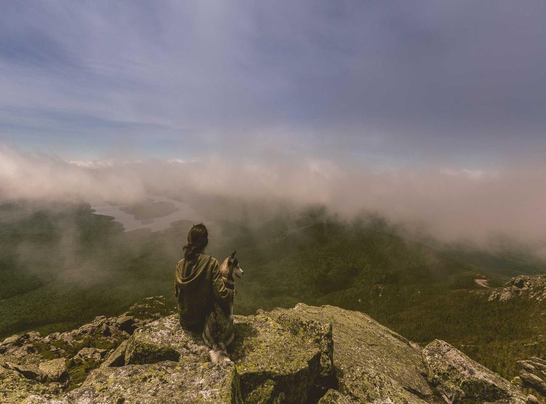 The Best (and Safest) Places to Watch Tutti Frutti Online