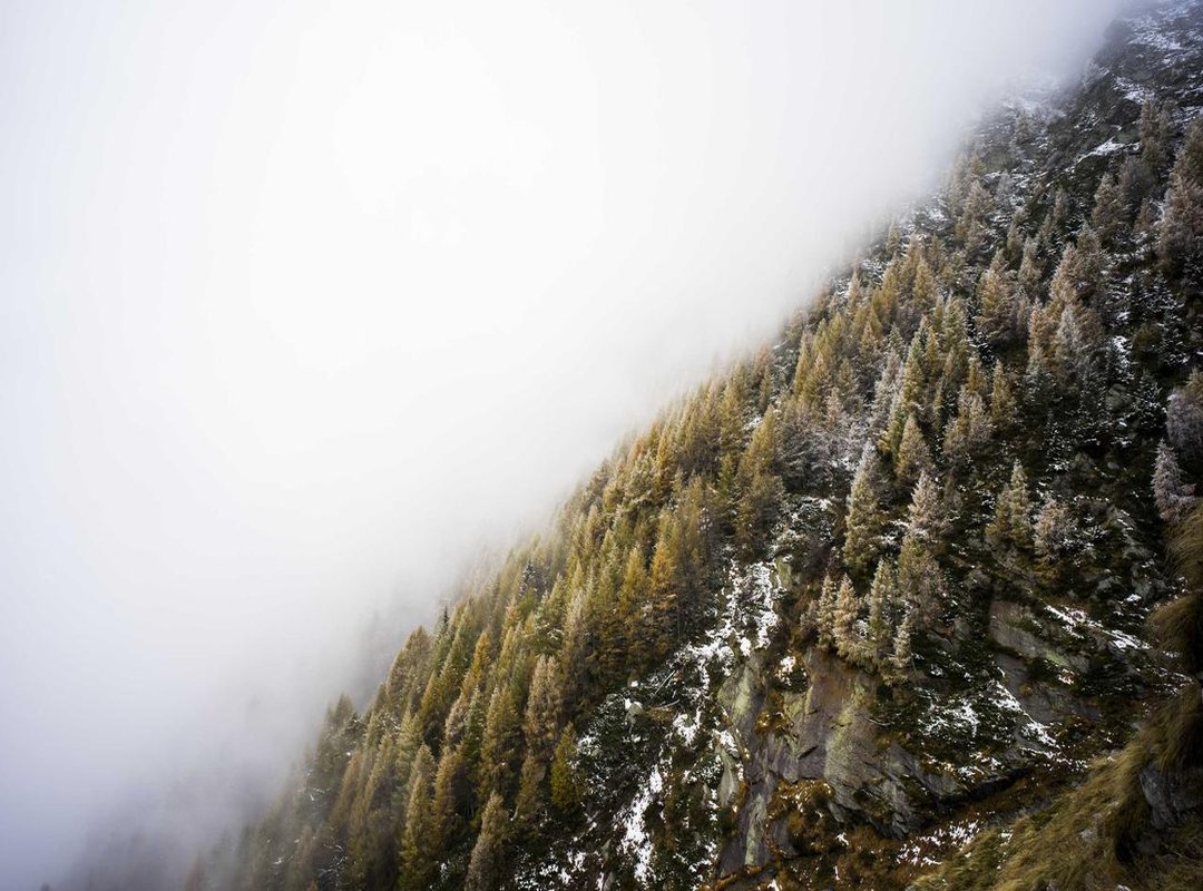 The Şanlı Family: The Actors Behind Seyran's World