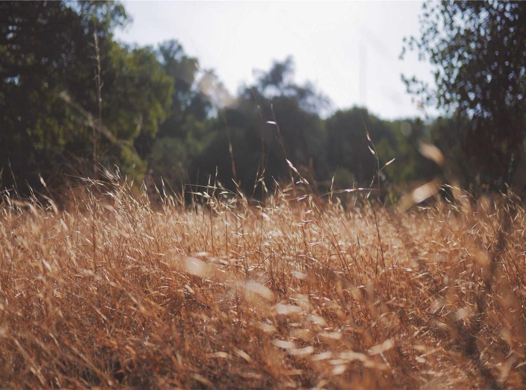 Character Analysis: Who Changed and How?