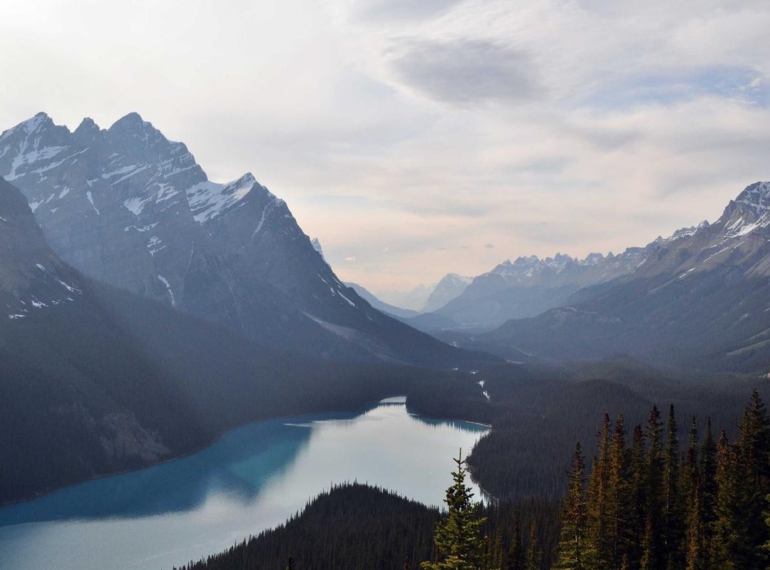 Free vs. Paid Wallpaper Apps: Is a Subscription Worth It?