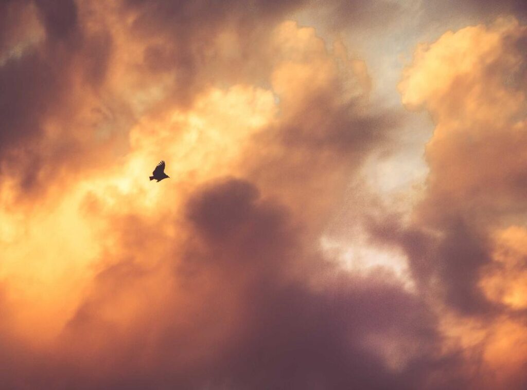 lyrics lefty sm x victor cibrian - no cambiolefty sm oficial