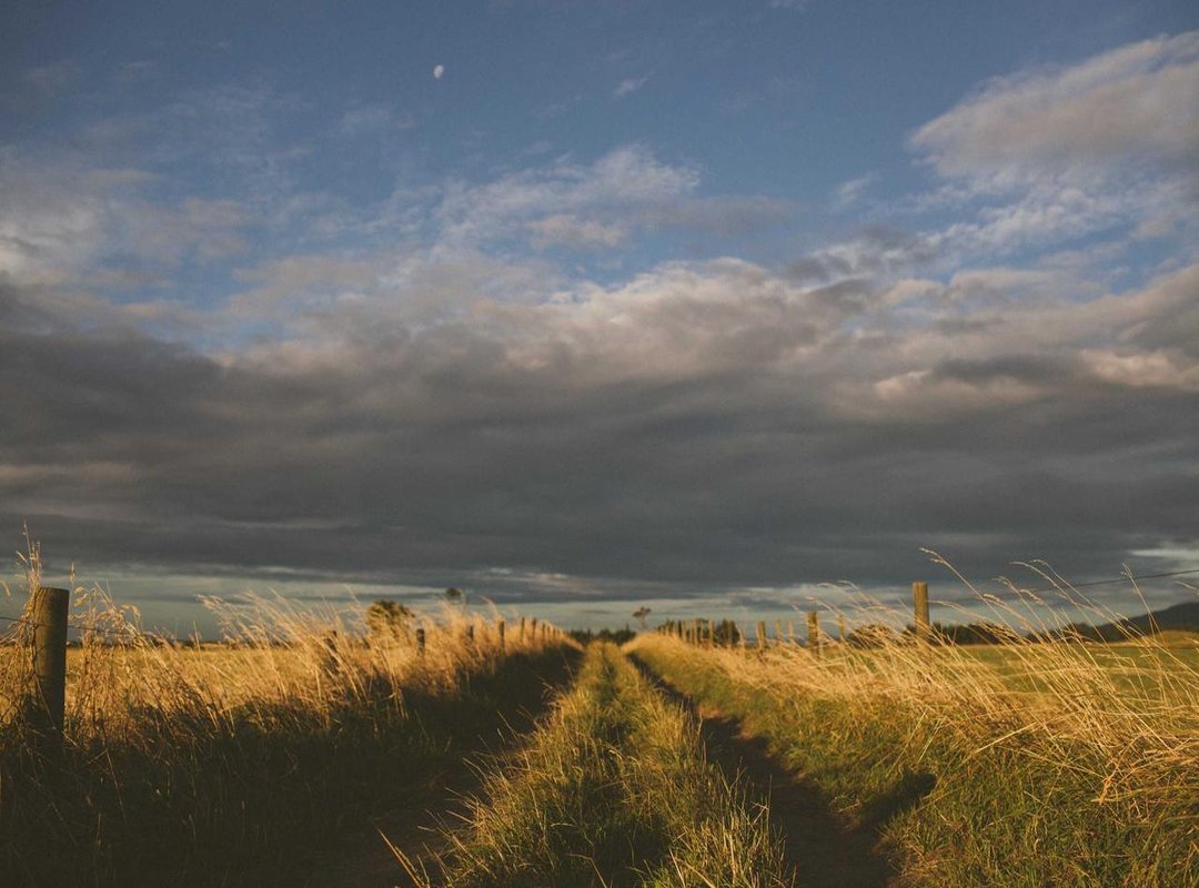 Understanding Youku: Why International Kids' Shows Are Hosted Here