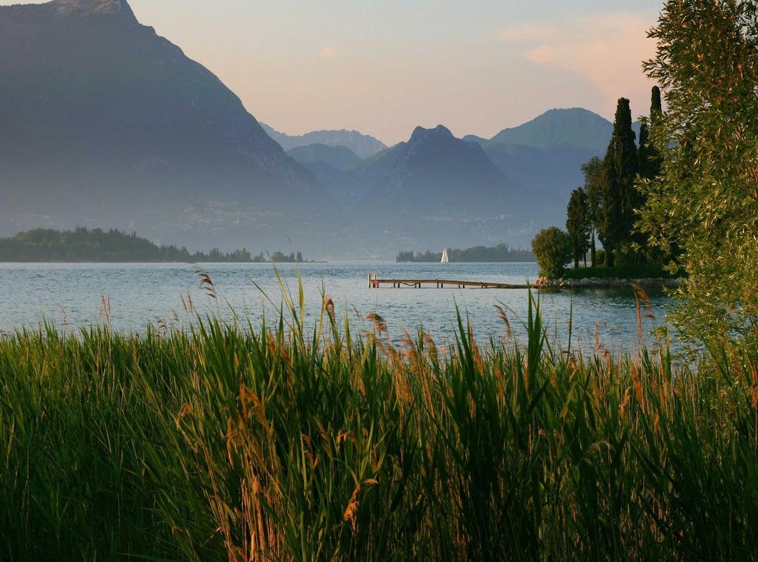 The Aftermath: Memes, Reactions, and Widespread Commentary