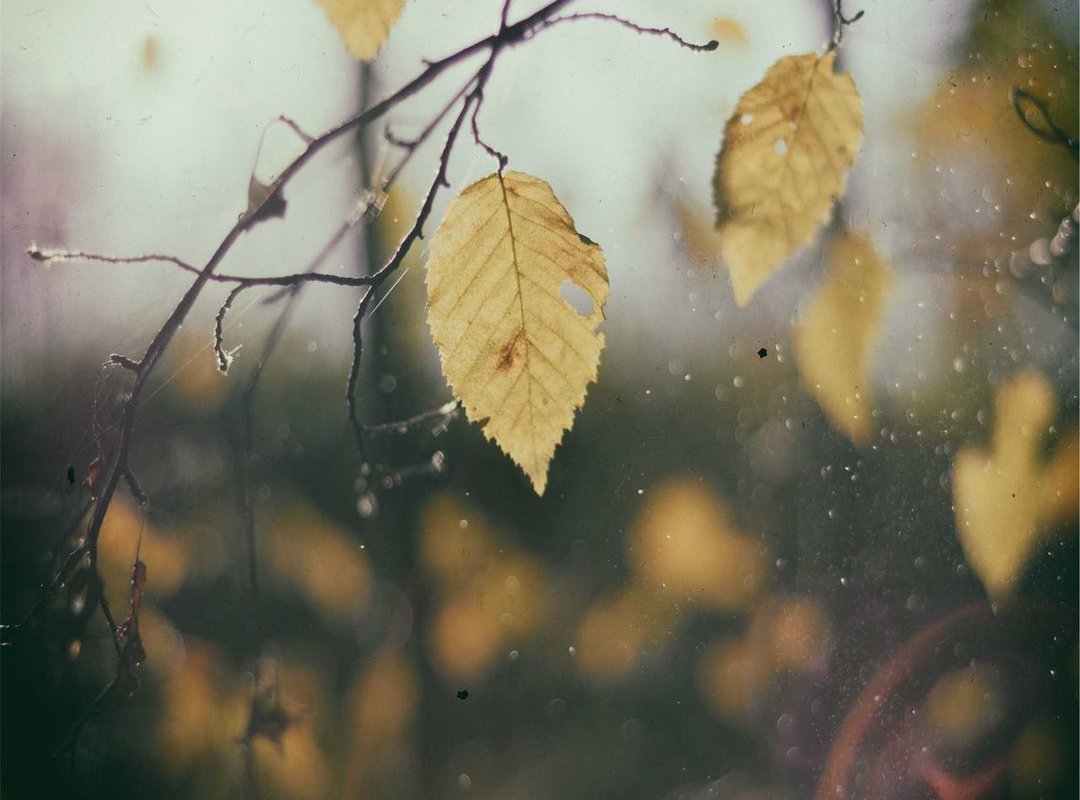 When Fans Get Creative: The Best Community-Made Memes