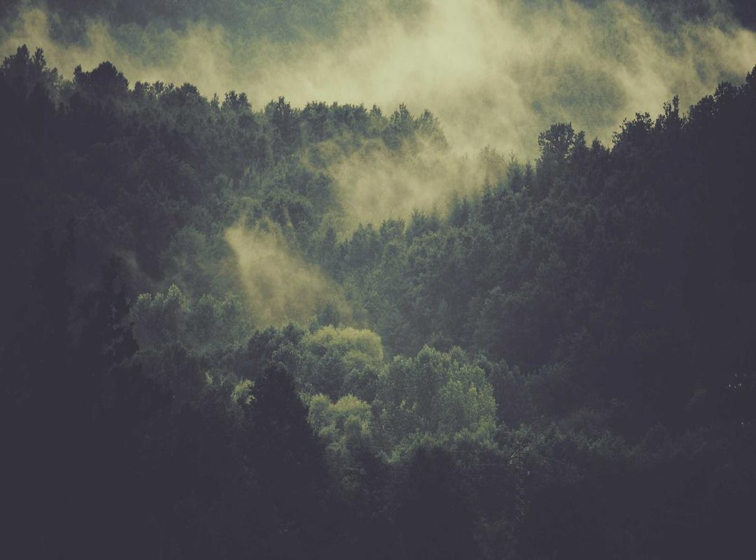 Where to Find xmissy.bl: Official Online Presence